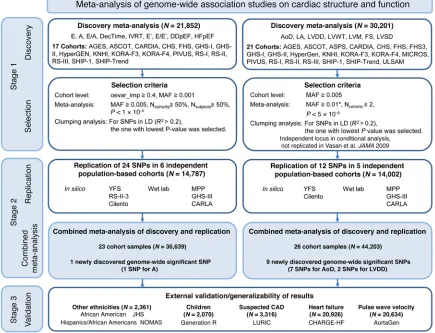 Figure 1. Flowchart of the analytical 3-stage approach. *For LV systolic dysfunction as binary trait, the selection criterion for the MAF was ≥0.03