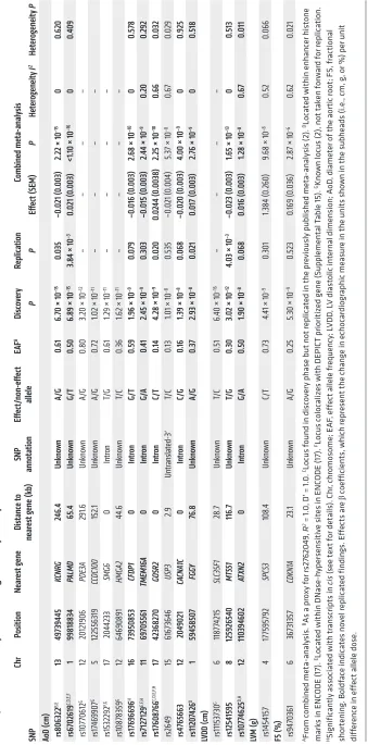 Table 1. Genetic loci associated with echocardiographic traits of LV structure and systolic function with genome-wide significance at results, and a meta-analysis combining discovery and replication data