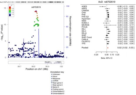 Figure 3. Forest plot for the meta-analysis of the association between rs6702619 and AoD, with the corresponding regional plot including functional annotation