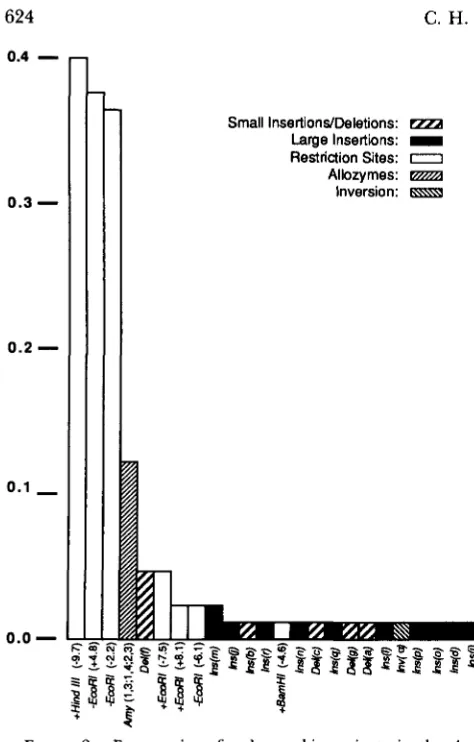 FIGURE 2.-Frequencies  of polymorphic variants in the and  from left to right along the  map in Figure of alleles actually scored for each polymorphism