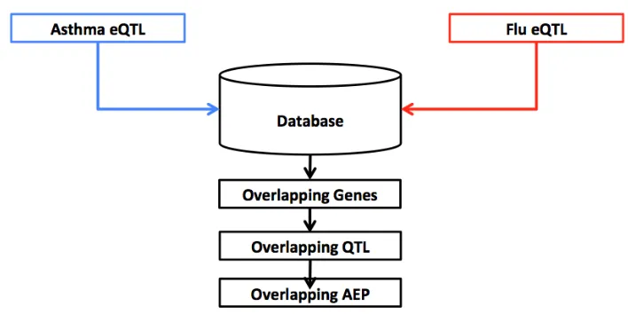 Figure 1.1 Analysis Process
