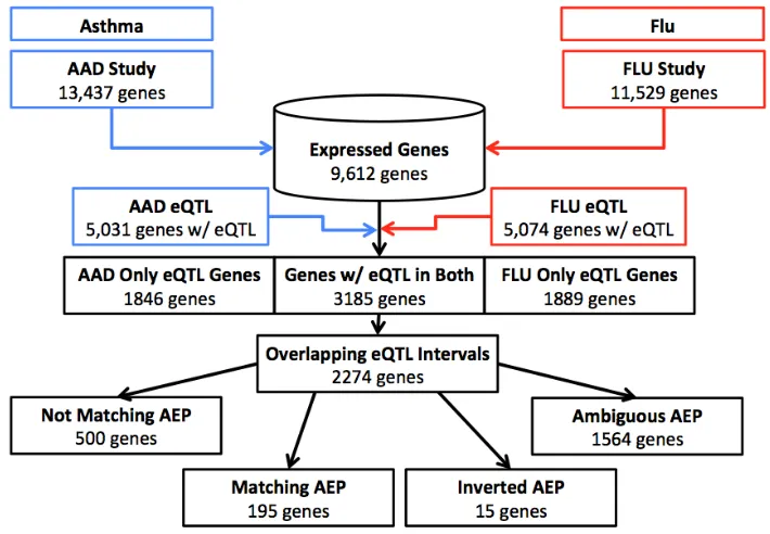 Figure 3.2 Partitioning of genes from individual experiments through analysis