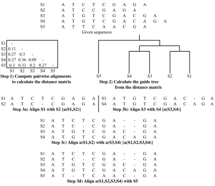 Figure 1-7: An example of multiple sequence alignment
