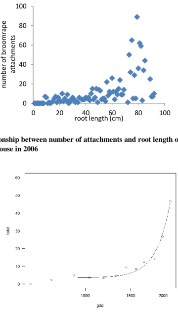 Figure 2. Relationship between number of attachments and root length of cretan weeds hosts grown  in pots in glasshouse in 2006 