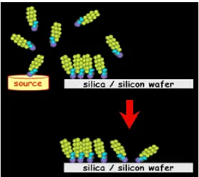 Figure 1.3: Illustrates the diffusion of source molecules to a silica/silicon wafer form a 