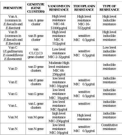 Table 2: PHENOTYPIC AND GENOTYPIC CLASSIFICATION 