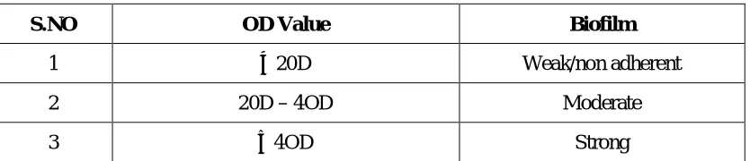 Table 4: INTERPRETATION OF BIOFILMS BY MICROTITRE 