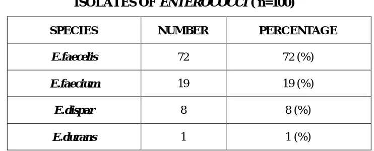 Figure 1: SPECIES OF ENTEROCOCCI ISOLATED FROM CLINICAL    SAMPLES: 