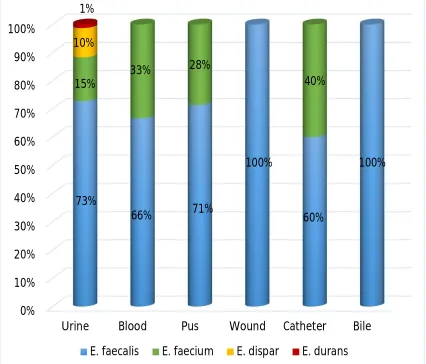 FIGURE 2: DISTRIBUTION OF ENTEROCOCCUS   SPECIES AMONG VARIOUS CLINICAL SPECIMENS (n=100) 