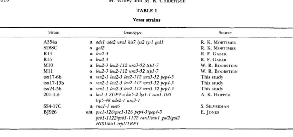 TABLE 1 Yeast strains 