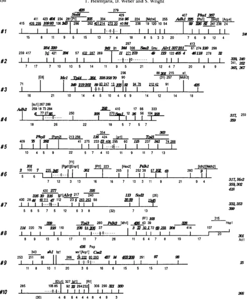 FIGURE 2.-Our lines by numerical designations. Where  the exact location underlined segment