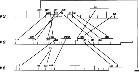 FIGURE 3.-Duplicate 