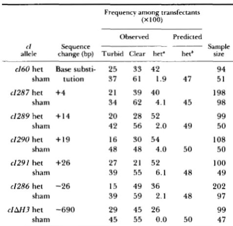 TABLE 3 