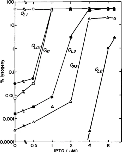 FIGURE 5.-Challenge phages with the sequences of the two contexts of cloned repeats surrounding shown