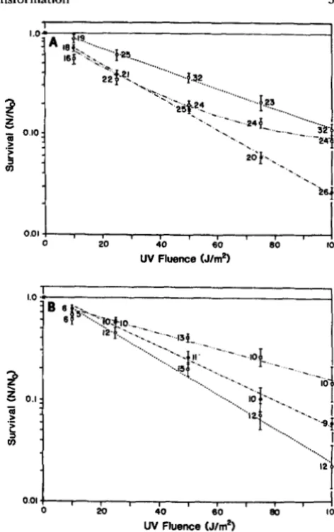 FIGURE l."Survival given for  three classes of cells subjected to  the two treatments 