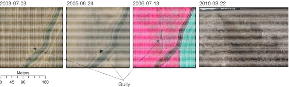 Figure 3. Ideal shape of semivariogram plot. Red squares represent the experimental semivariogram plotted from the sample data