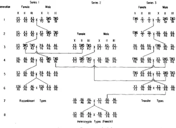 FIGURE 1 .-Breeding 