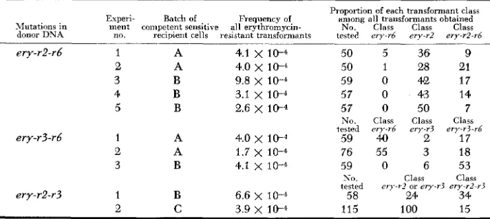 TABLE 4 