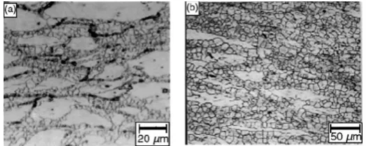 Figure 1. Dynamic recrystallization occurring near given boundary after compression tests at: (a) 954˚C, 5s−1 (b) 1066˚C, 5s−1 [1]