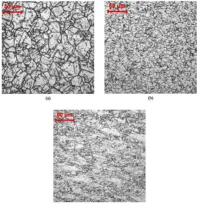 Figure 3(a). As well, as dynamic recrystallization completes, a uniform and fine 