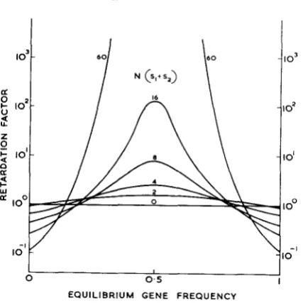 FIGURE 1 .-The retardation of fixation by heterozygate advantage in the absence of mutation