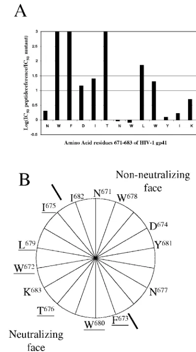 TABLE 1. Amino acid sequences and 4E10 binding data (IC50 and Kd)of some of the unconstrained peptide analogs