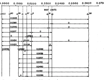 FIGURE 1 .-Recombination map of the m-dy complex. 