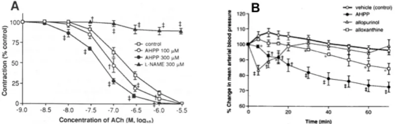 Fig. 2. Effects of AHPP on acetylcholine-induced relaxation of the aorta rings of SHR(A) and on the blood pressure of SHR after intravenous administration (B).The relaxation of vascular rings was achieved by acetylcholine (ACh) with or without AHPP (A)