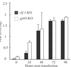 FIG. 2. Real-time PCR analysis of viral DNA replication in trans-fected Sf-9 cells. At the designated times, total DNAs were isolated
