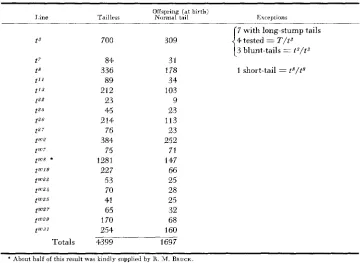 TABLE 5 