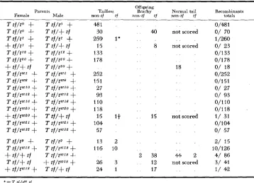 TABLE 7 