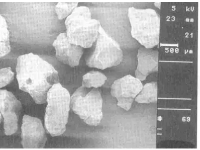 Figure 3.2 Microscopic Photograph of Sand Grains (Das, 1998)