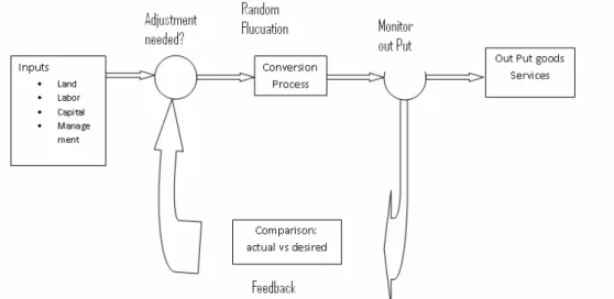 Figure 1.1 Basic Elements of Conversion Process 