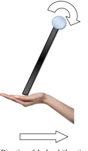 Figure 1.4 Hand balancing a stick on a its palm 