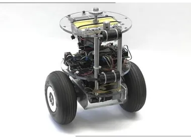 Figure 2.1 nBot by David Anderson (Anderson 2007) 