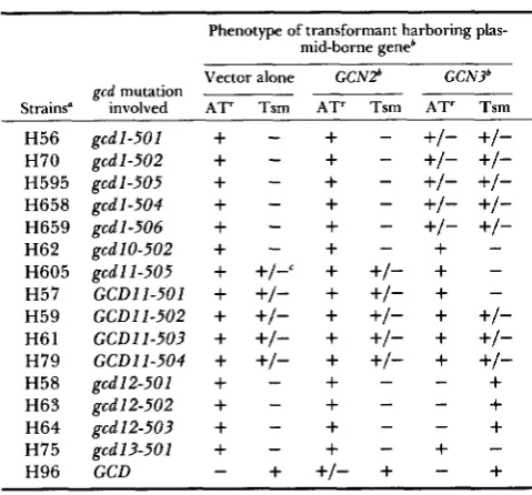 TABLE 4 