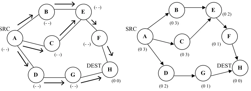 Figure 3.2: Route Creation in TORA 
