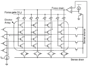 Figure 2.3.1 - Rapid Vt Characterization  Structure [4] 