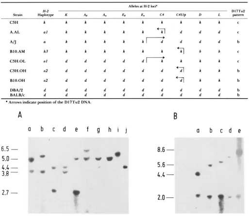 TABLE 1 Mapping of DlOTuZ into the D region of the H-2 complex 