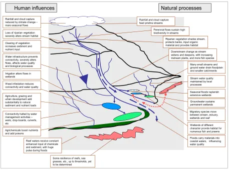 Figure 1:  Natural processes and human influences in  GBR catchments (from Pearson and Stork 2007)