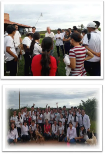 Figure 7. Visit to the farm.