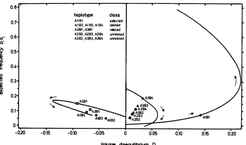 FIGURE 1.-Results of a deterministic two-locus selection model having three and four alleles at each locus, showing the linkage generation is in linkage equilibrium (all haplotypes at disequilibrium, D, of the twelve haplotypes during directional selection
