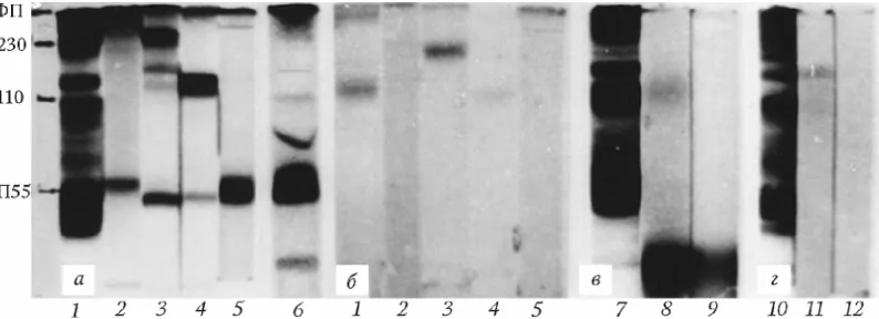 Table 1. Some properties of main forms of the antigen CA125
