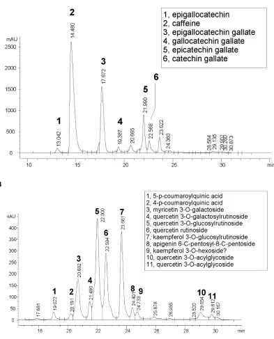Fig. 2. HPLC chromatograms of oolong tea monitored at 270 nm (A) and 350 nm (B).See Methods for experimental details, and the major peaks are identified