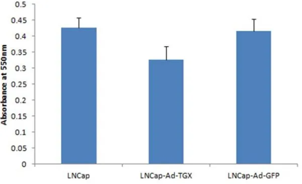 Fig. 5. Effect of TGIFLX expression in LNCaP cells3