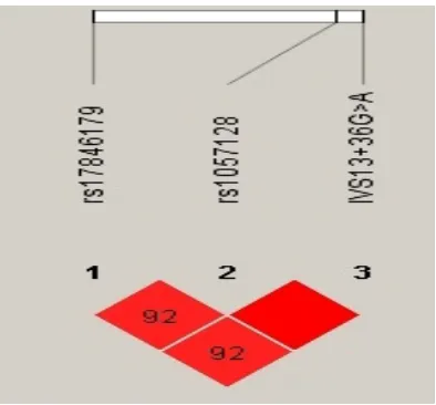 Fig. 5.Pairwise Linkage disequilibrium analysis of KCNQ1 and KCNE1 polymorphisms