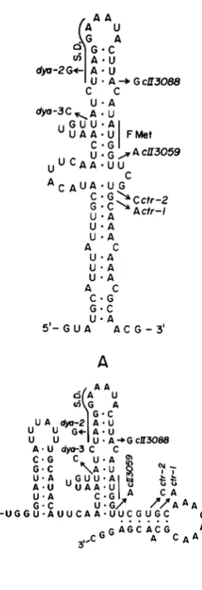 FIGURE B are indicated. The stem structures affected by the structure formed by and mutually exclusive