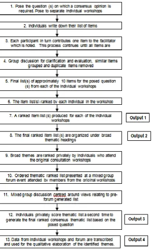 Fig. 1.  Flow diagram of the steps (1-13) involved in the adapted NGT