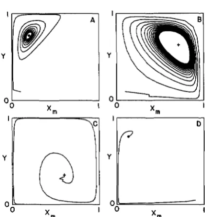 FIGURE 4.-Examples of the dynamical behavior of the model with joint effects of viability and meiotic drive due to both the X and Y chromosomes