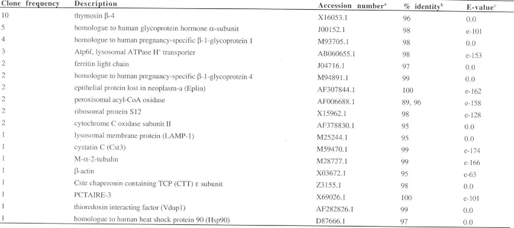 Table 7 .3 Differentially expressed genes in small L TC-DC. 